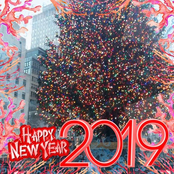 Meet your Posher, Glenda - Picture 1 of 1